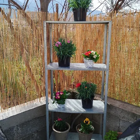 Sweet Nest Of Meteora Apartment