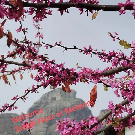 公寓 Sweet Nest Of Meteora *